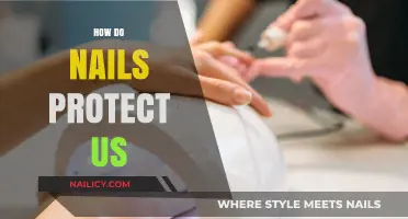 Nails: Unseen Shields Defending Our Hands and Health Daily