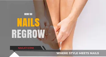 Nail Regrowth Explained: How Nails Naturally Heal and Regenerate