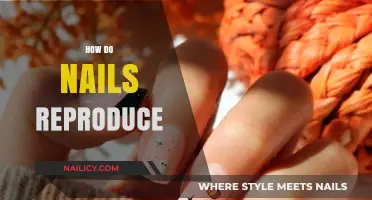 Unveiling the Mystery: How Nails Grow and Regenerate Naturally
