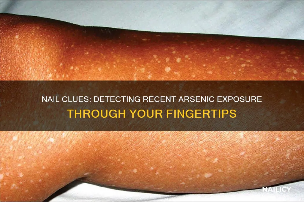 how do nails show recent exposure to arsenic