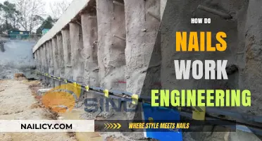 Engineering Secrets: How Nails Work in Construction and Design
