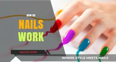 Understanding the Science Behind How Nails Function and Grow