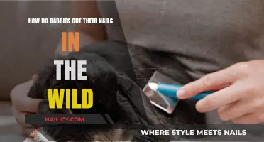 Rabbits' Nail Maintenance: Wild Habits Revealed
