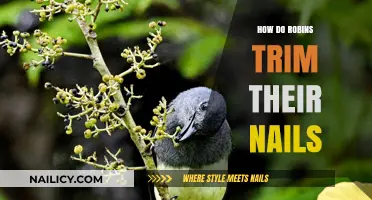 Trimming Nails: A Robin's DIY Manicure