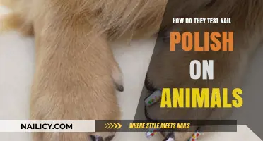 The Cruelty Behind Nail Polish: Animal Testing Explained