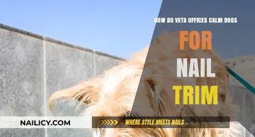 Calm Nail Trims: Veta's Dog-Whispering Tricks