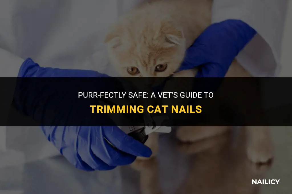 how do vets cut cat