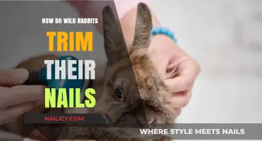 Wild Rabbits' Natural Nail Trimming: Secrets Unveiled
