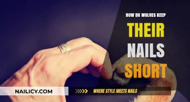 How Wolves Naturally Maintain Short Nails in the Wild