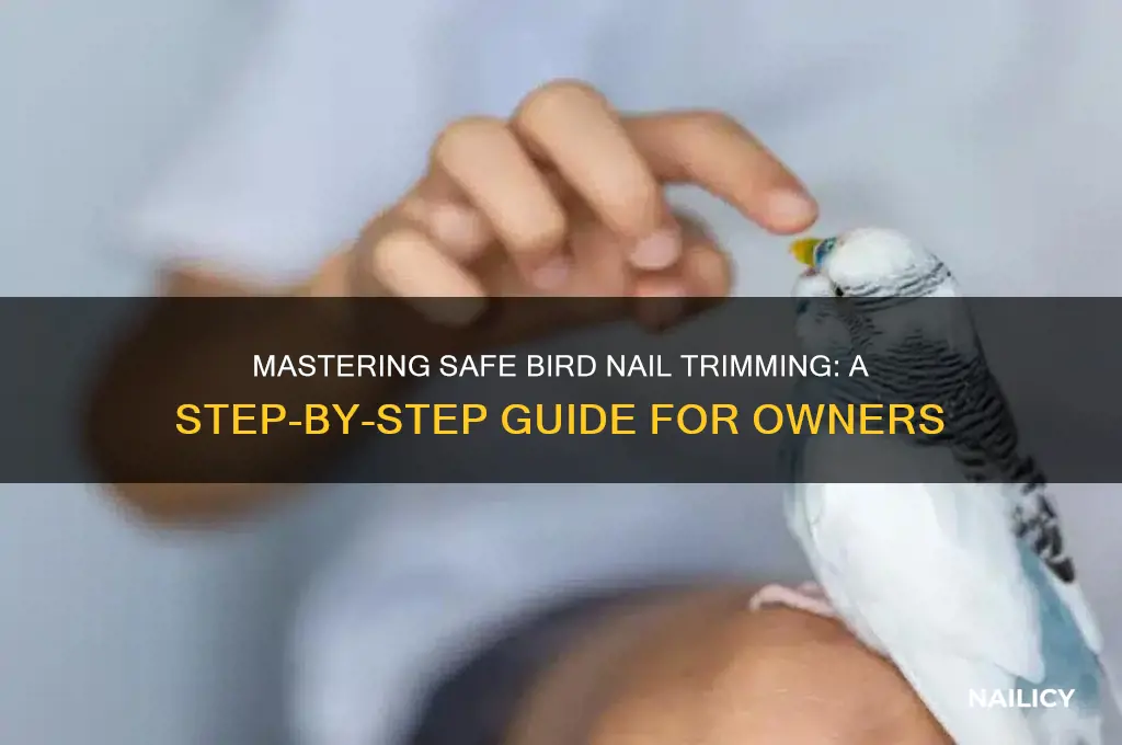 how do you clip a bird