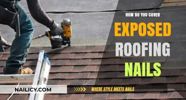 Quick Fixes: Covering Exposed Roofing Nails Safely and Effectively