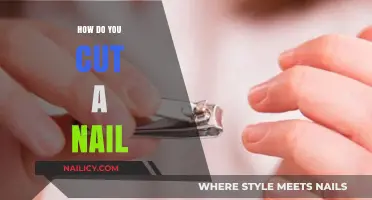 Trimming Nails: The Right Way