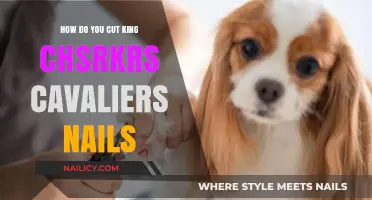 Trimming Cavalier Nails: A Step-by-Step Guide