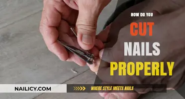 Trim Your Nails: A Step-by-Step Guide