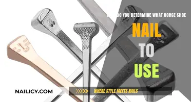 Choosing the Right Horseshoe Nail: A Guide for Equine Care