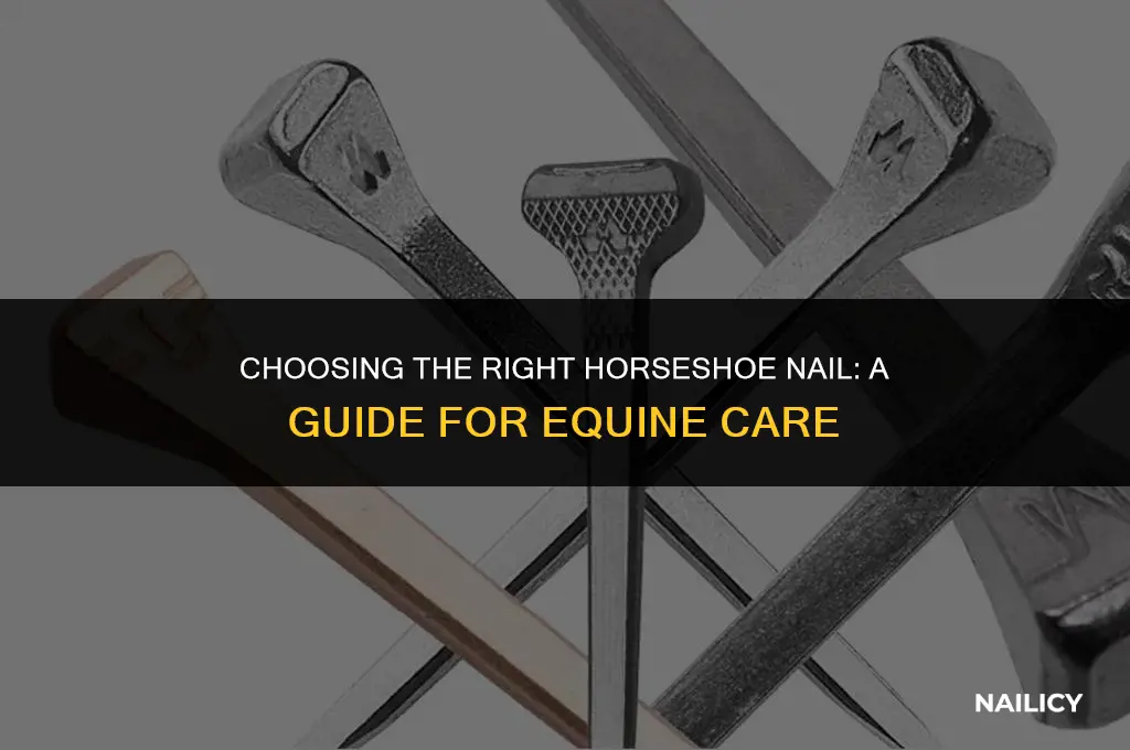 how do you determine what horse shoe nail to use