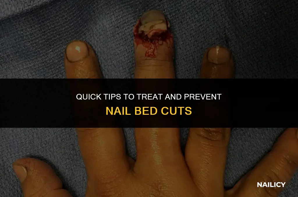 how do you get a cut on your nail bed