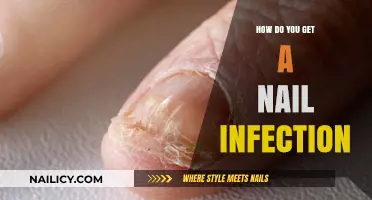 Understanding and Preventing Nail Infections: A Comprehensive Guide
