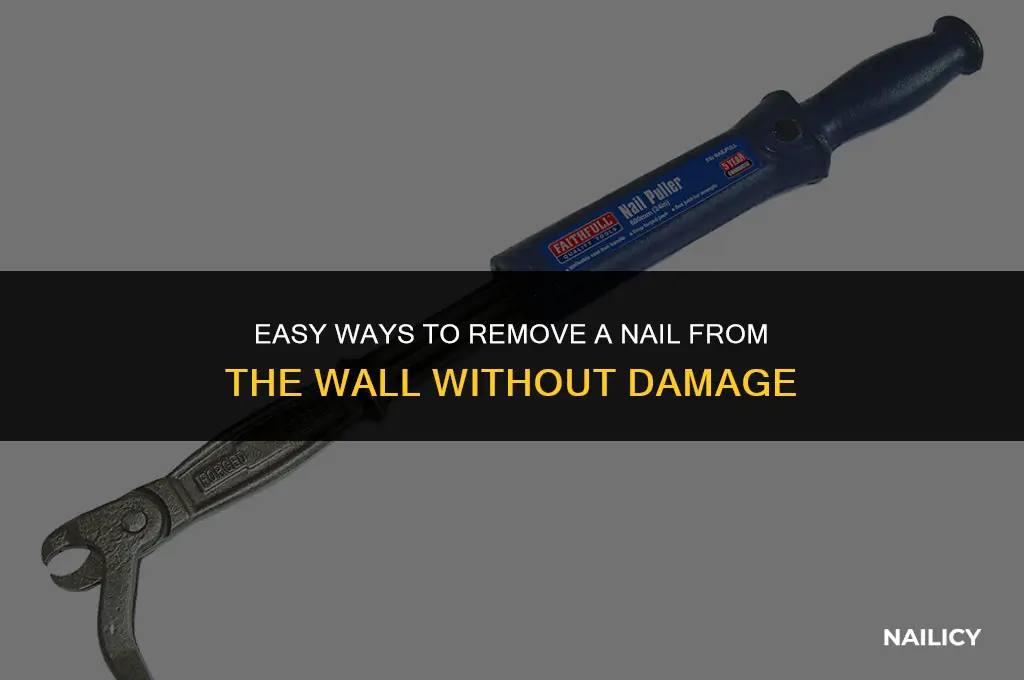 how do you get a nail out of the wall