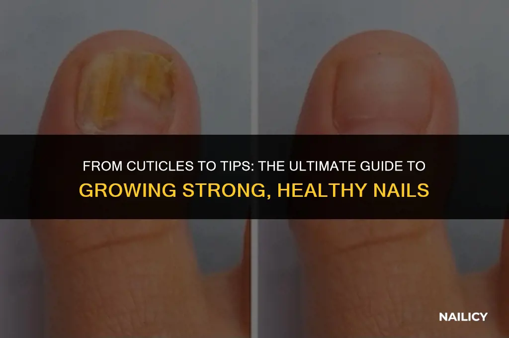how do you get hand nails