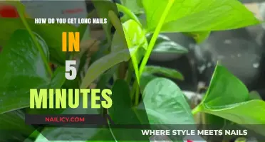 Quick Tips for Growing Long Nails in Just 5 Minutes