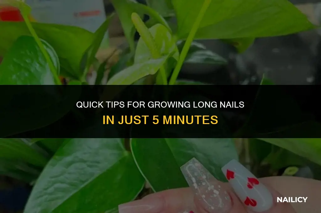 how do you get long nails in 5 minutes