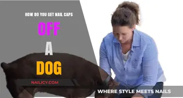 Safely Removing Nail Caps from Your Dog: A Step-by-Step Guide