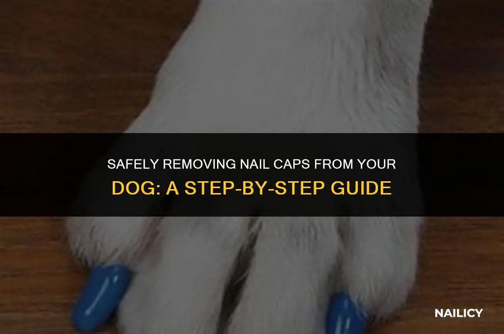 how do you get nail caps off a dog