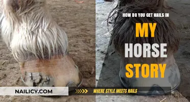 Unraveling the Mystery: Nails in My Horse Story