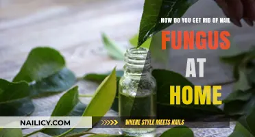 Effective Home Remedies to Eliminate Nail Fungus Naturally