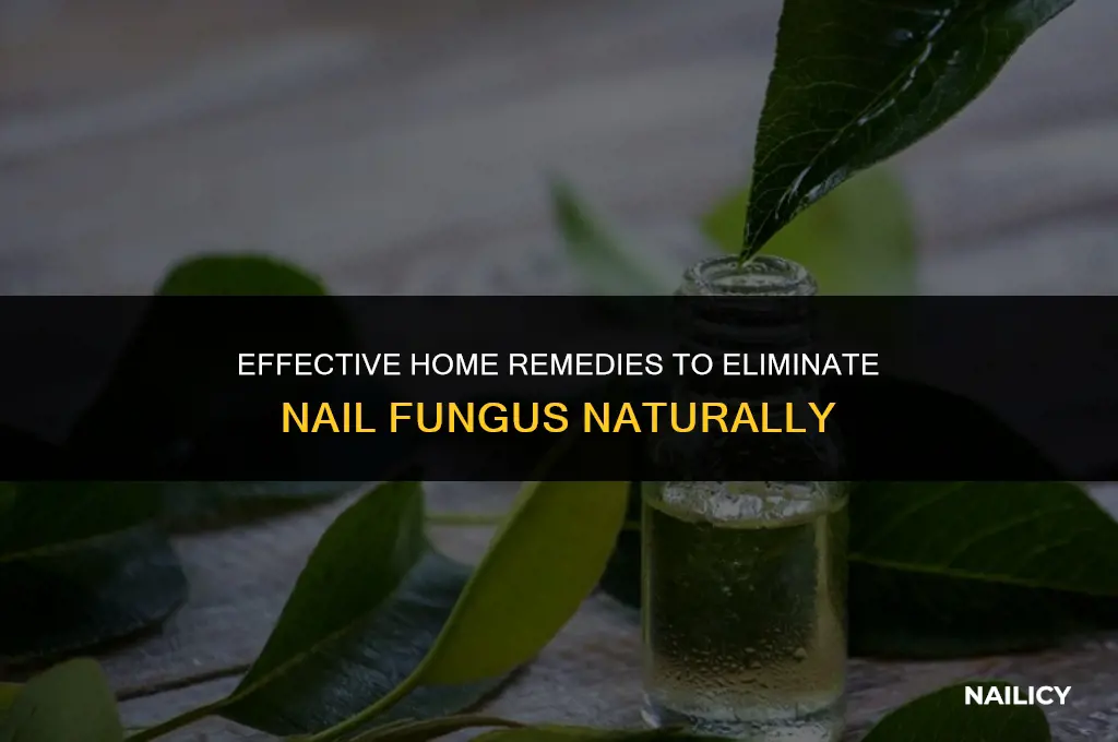 how do you get rid of nail fungus at home