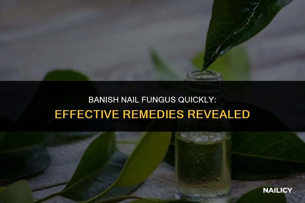 how do you get rid of nail fungus fast