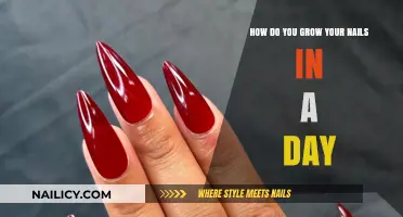 Rapid Nail Growth: Achieving Longer Nails in 24 Hours