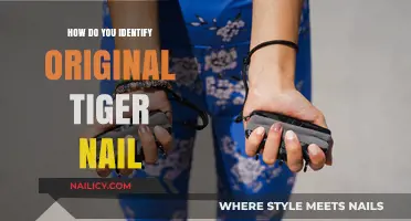 Spotting Genuine Tiger Nails: A Comprehensive Identification Guide