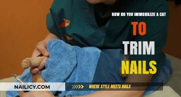Trimming Cat Nails: Tips for Restraining Your Feline Friend