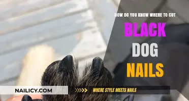 Trimming Black Dog Nails: A Safe and Easy Guide