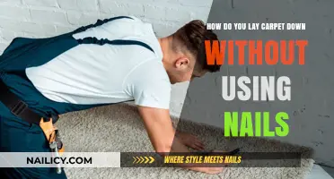 Effortless Carpet Installation: A Nail-Free Guide for Beginners