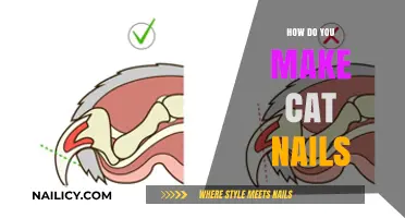 Creating Cat Nails: A Step-by-Step Guide