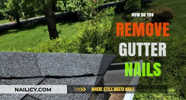 Efficient Gutter Nail Removal: A Step-by-Step Guide