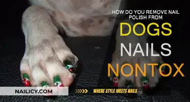 Safe Nail Polish Removal for Dogs' Nails