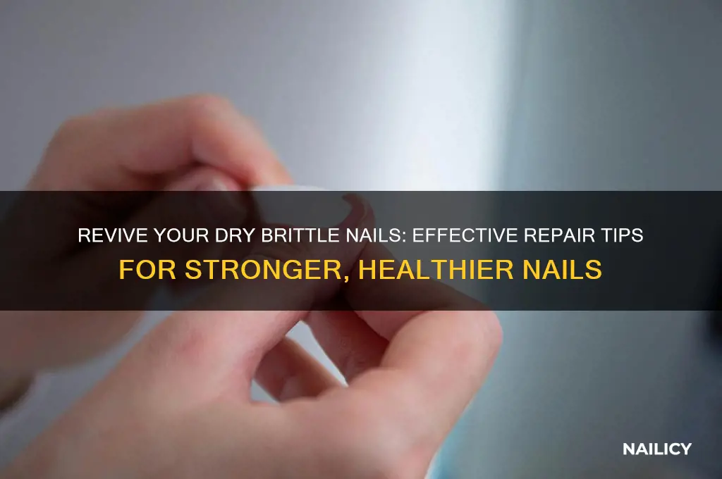 how do you repair dry brittle nails