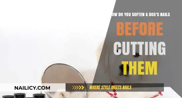 Trimming Dog Nails: Softening for Safe and Easy Clipping