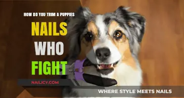 Trimming Nails: Strategies for Wiggly Puppies
