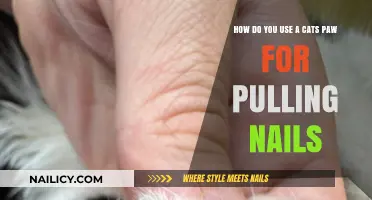 Purr-fectly Practical: Using Your Cat's Paw for Nail Removal