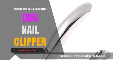 Mastering the Art of Safe Nail Trimming with Guillotine Clippers