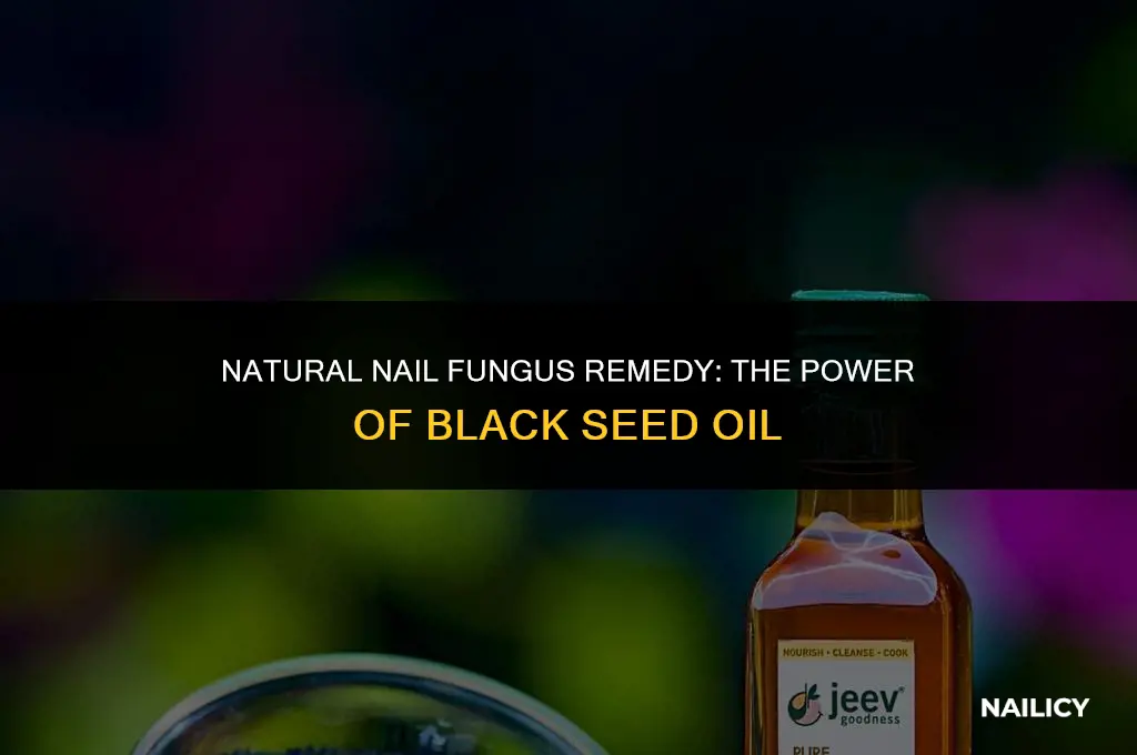 how do you use black seed oil for nail fungus