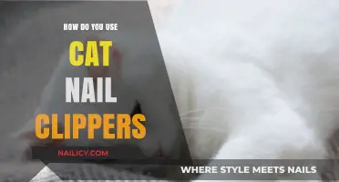 Purr-fectly Trimmed: A Guide to Using Cat Nail Clippers Safely