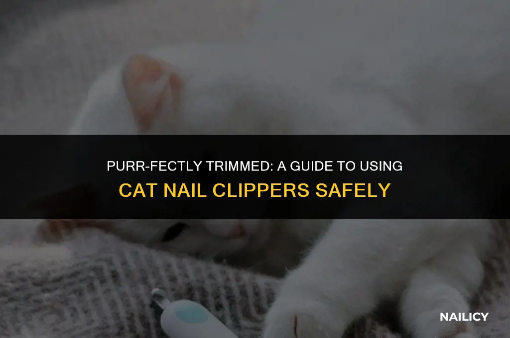 how do you use cat nail clippers