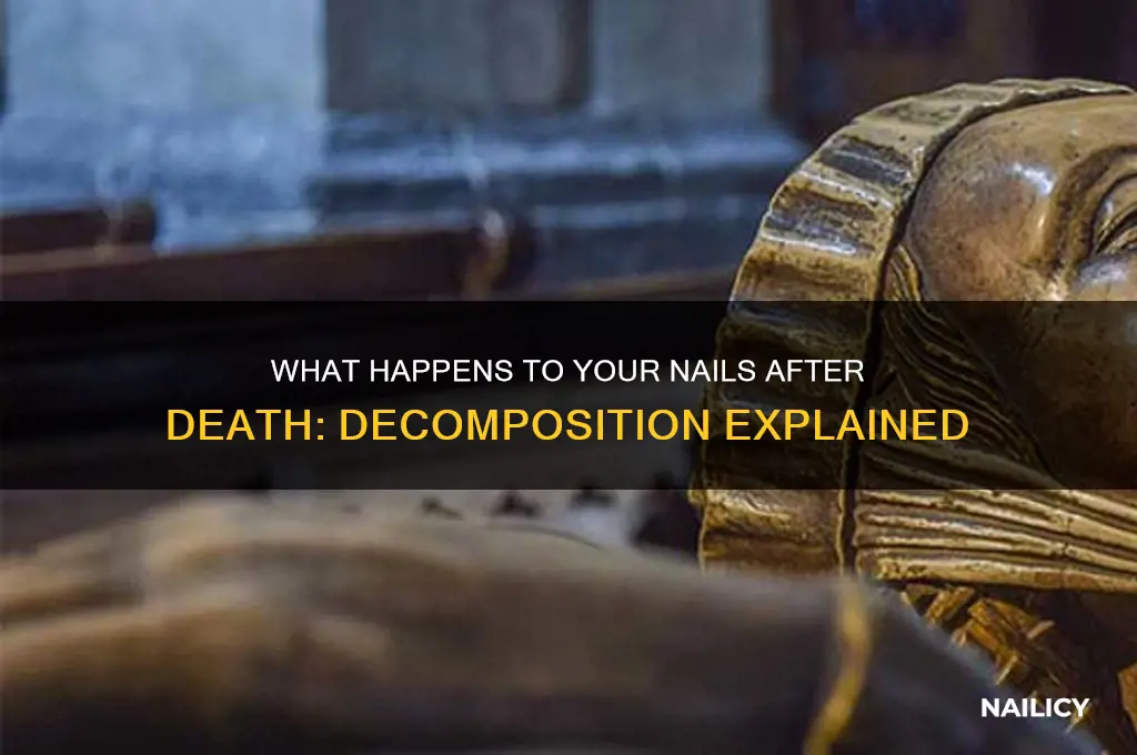how do your nails decompose after you die