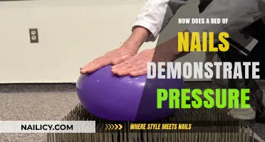 Bed of Nails: Unveiling the Science Behind Pressure Distribution